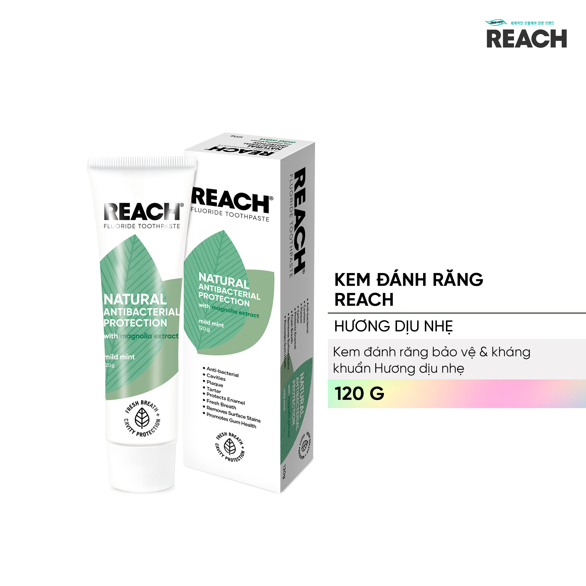 Kem đánh răng bảo vệ và kháng khuẩn Reach hương bạc hà dịu nhẹ 120g